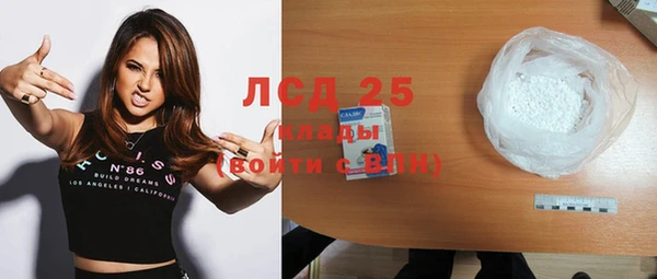 индика Алексин