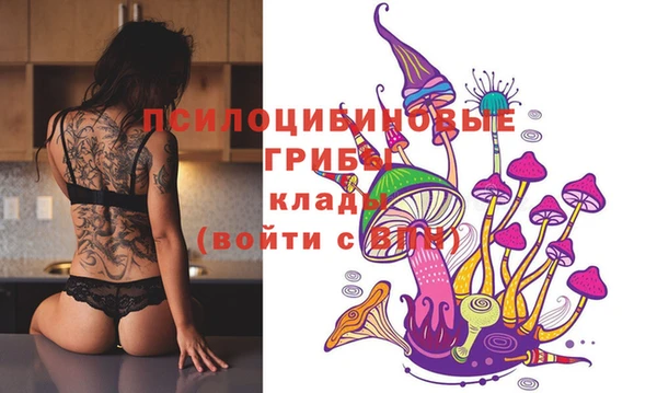 индика Алексин